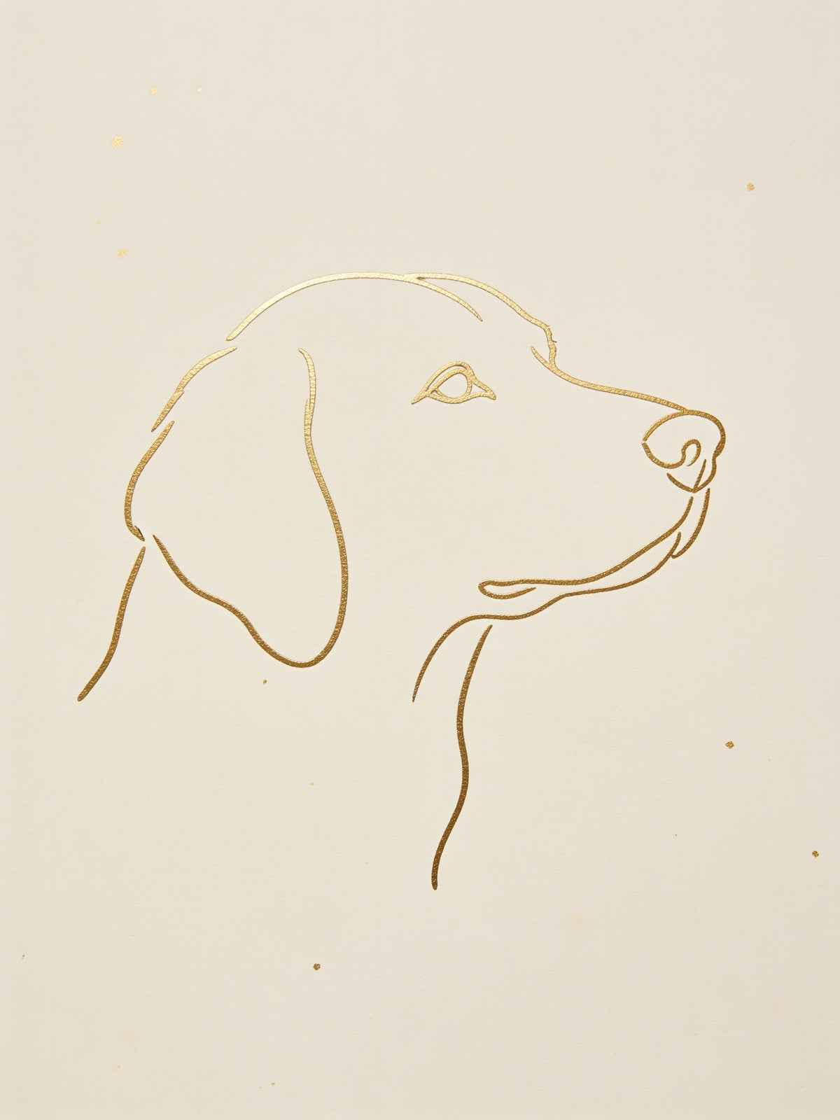 Portrait de chien style Ligne d or