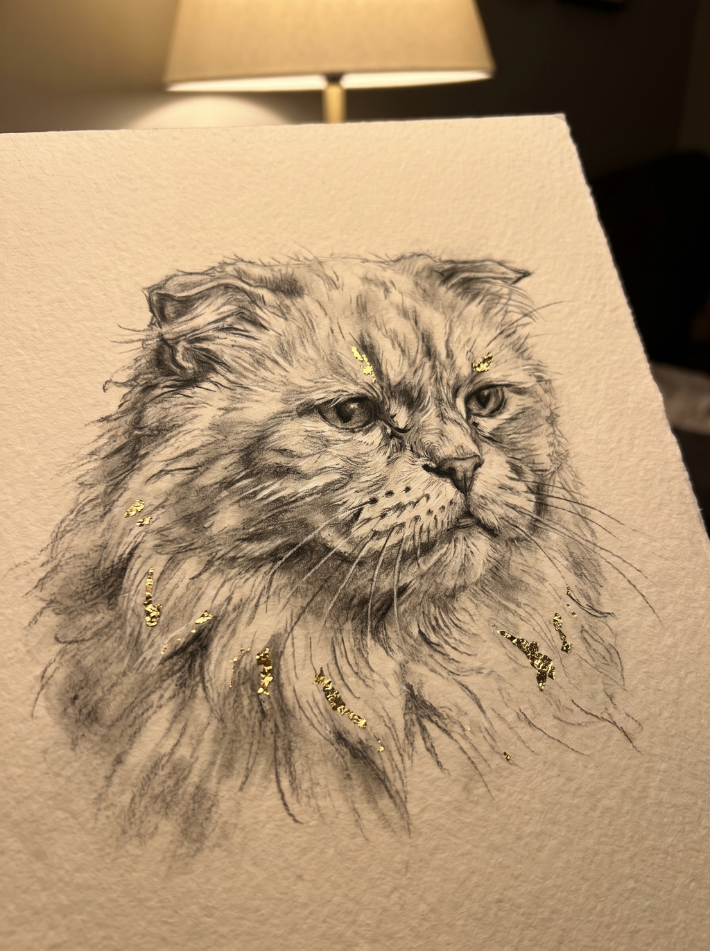Portrait souvenir de chat age style Fusain dore